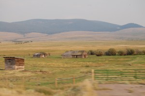 7 August 2012 South of Jackson elk herd Cabins